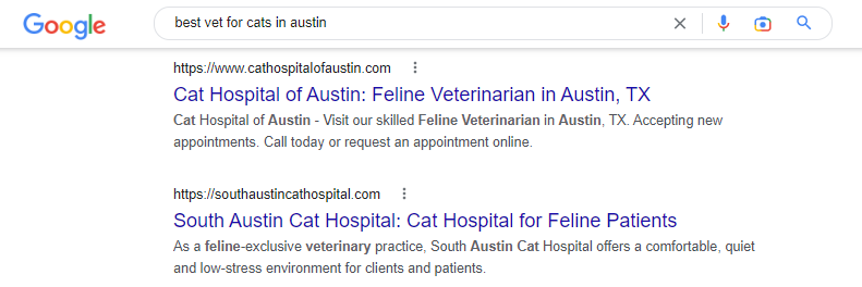 miglior veterinario per gatti ad Austin